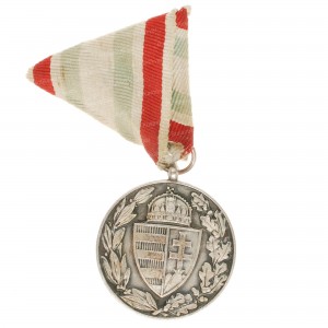 вет-1-мв-венгр-ав.jpg