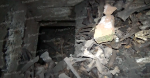 3.Кости животных, сброшенных в ДОТ....png