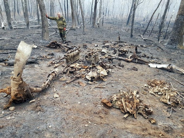 3.Впервые поисковиками была применена полная выкладка обломков самолёта..jpg