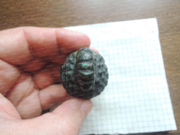 DSCN9787.JPG