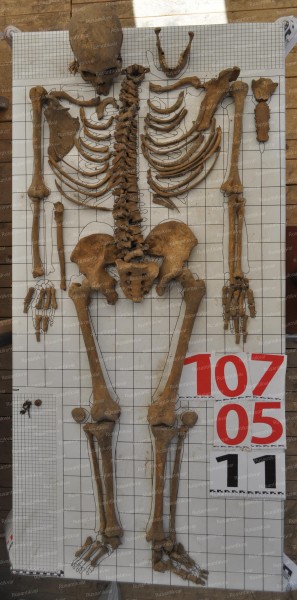 2.JPG