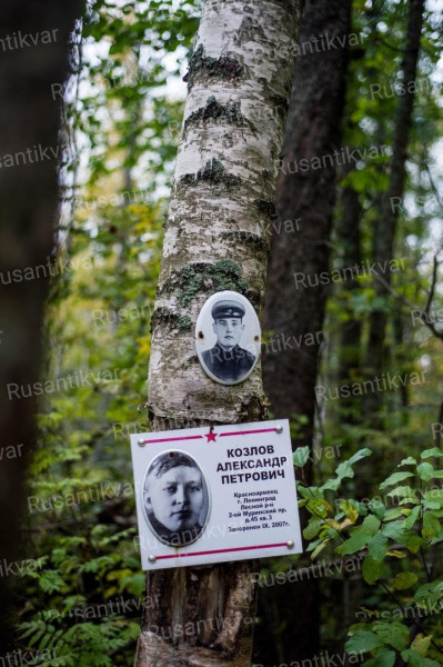 1.Памятная табличка на месте обнаружения поисковиками Александра Козлова.jpeg