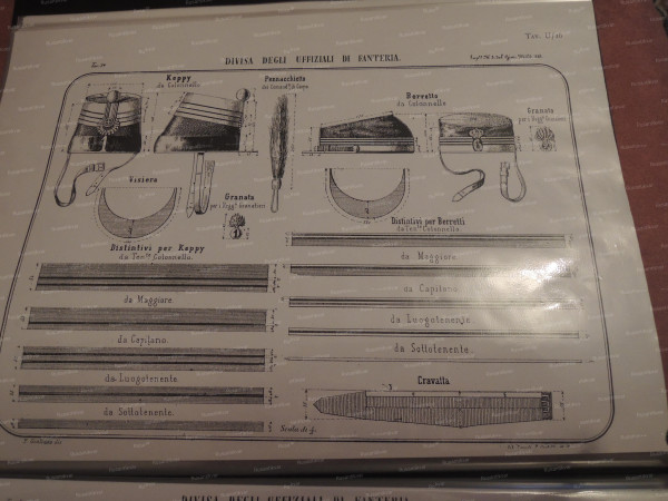 DSCN9339.JPG
