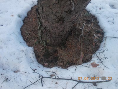 DSCN0934.jpg