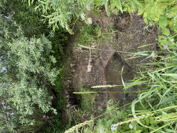 1.Первоначальный вид воронки на поле у д. Муравьёво..jpg