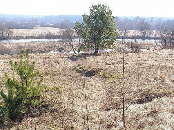 Река Проня. Чаусский район.  Немецкая траншея..jpg