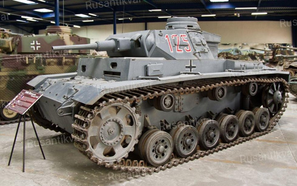 scale_1200 (1).jpg