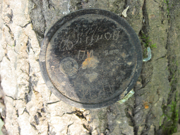 Подписанный компас.JPG