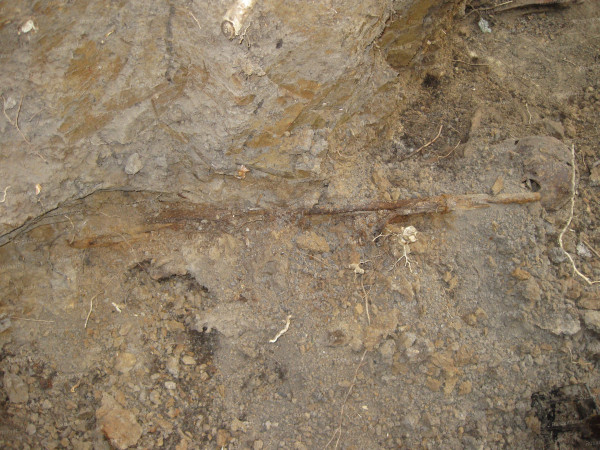 Винтовка Мосина в воронке с останками солдат.JPG