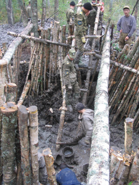 Дом на болоте.jpg