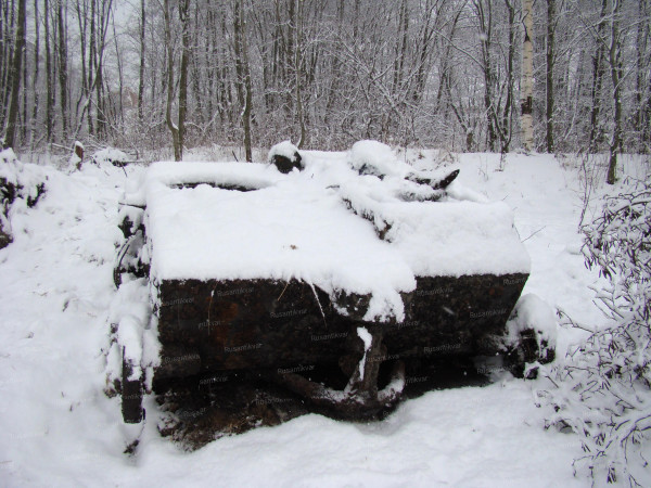 Боевая машина - Т-38.JPG