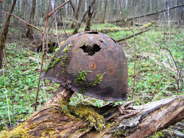 В лесах под Темкино.JPG