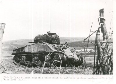 sherman1og[1].jpg