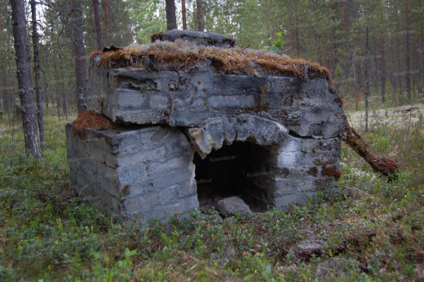 Кто соорудил посреди глухой тайги эту чудо- печку оставалось только гадать.JPG