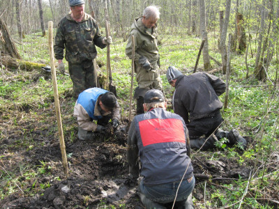 Найдены отанки бойца.JPG