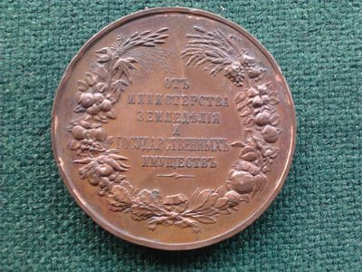 955615.jpg