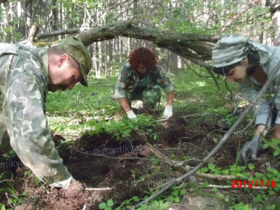 5.С помощью ножей приходилось тщательно перебирать весь грунт под слоем дерна....JPG