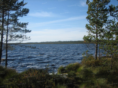 10. Озеро Черное, на котором, согласно опросам местных жителей, располагалась продуктовая база 1 мвдбр..jpg