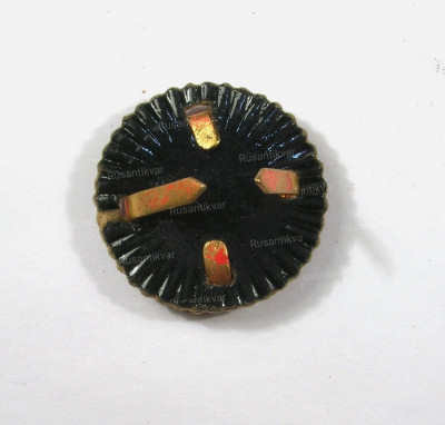 51.jpg