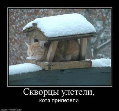 x_c1313774[1].jpg