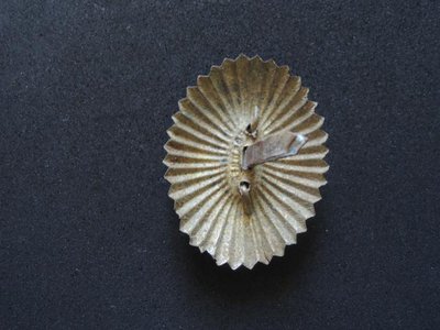 976127.JPG