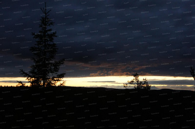 1.А зори здесь действительно тихие....JPG