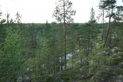 5.Речка Тяжа.JPG