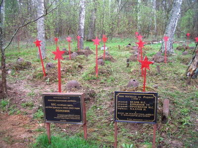 1.Воинское кладбище возле бывшей деревни Березки Темкинского района Смоленской области.JPG