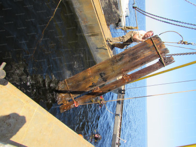 9. Дерево на глубине сохраняется идеально....JPG