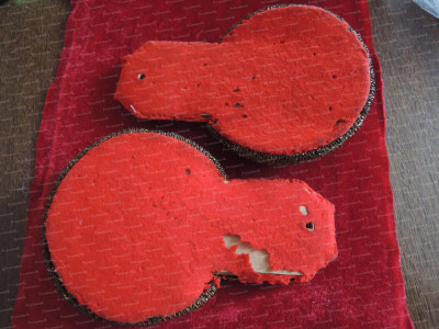DSCN6726.JPG