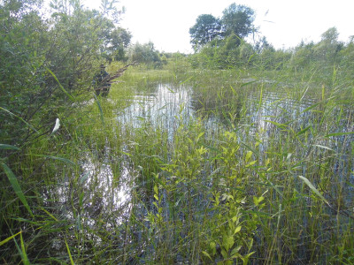 2.На месте бывшей высоты ныне образовался водоём....JPG