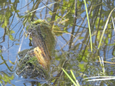 3.Фрагмент стенки подкопа....JPG