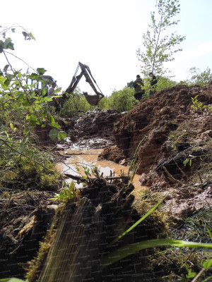 4.С таким помощником работа пошла веселее....JPG