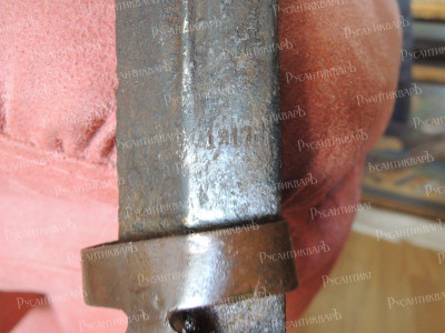DSCN7183.JPG