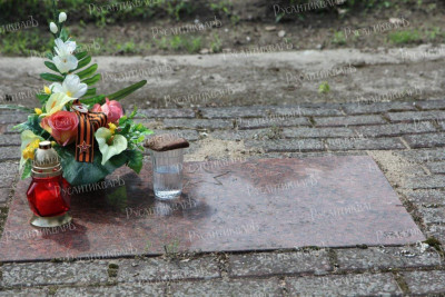 19. Могила Романенко Д.Е.jpg