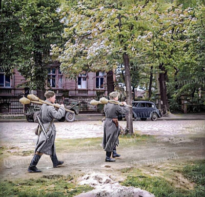 63.jpg