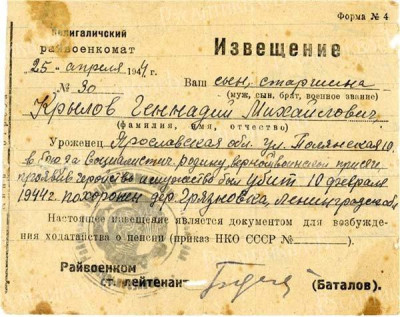 doc_krilov01.jpg