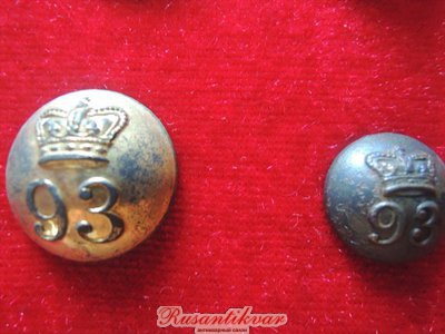 561DB496[1].jpg