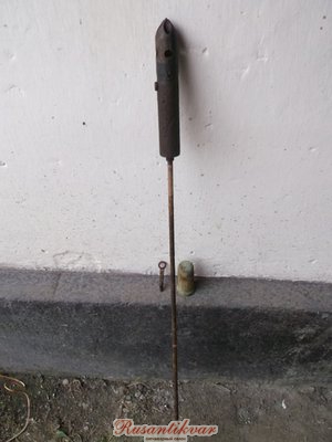 4464948.jpg