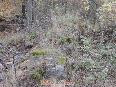 63019098[1].jpg