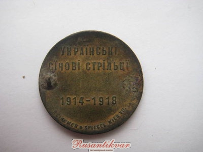 5891119.jpg