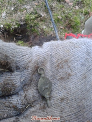 20140309_171540.jpg