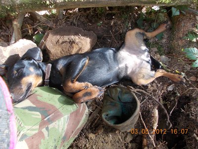 DSCN2677.JPG