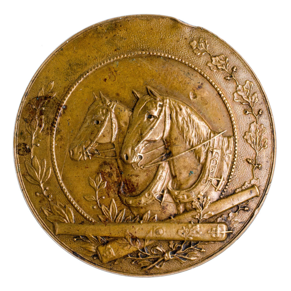Австро - Венгрия (Австро-Венгерская империя 1868 - 1918 гг). Квалификационный знак конного артиллериста.