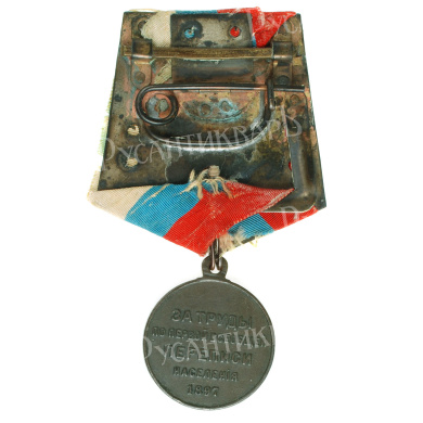 Медаль "За труды по первой всеобщей переписи населения" на колодке с лентой Государственных цветов.