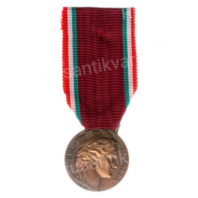 Италия. Почетная медаль итальянских добровольцев 4 тип.